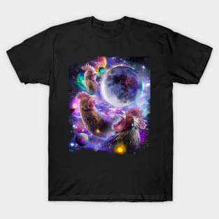 3 Three Chicken Moon T-Shirt